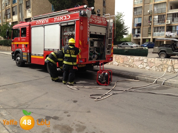 fireinyaffaw5 (10).JPG